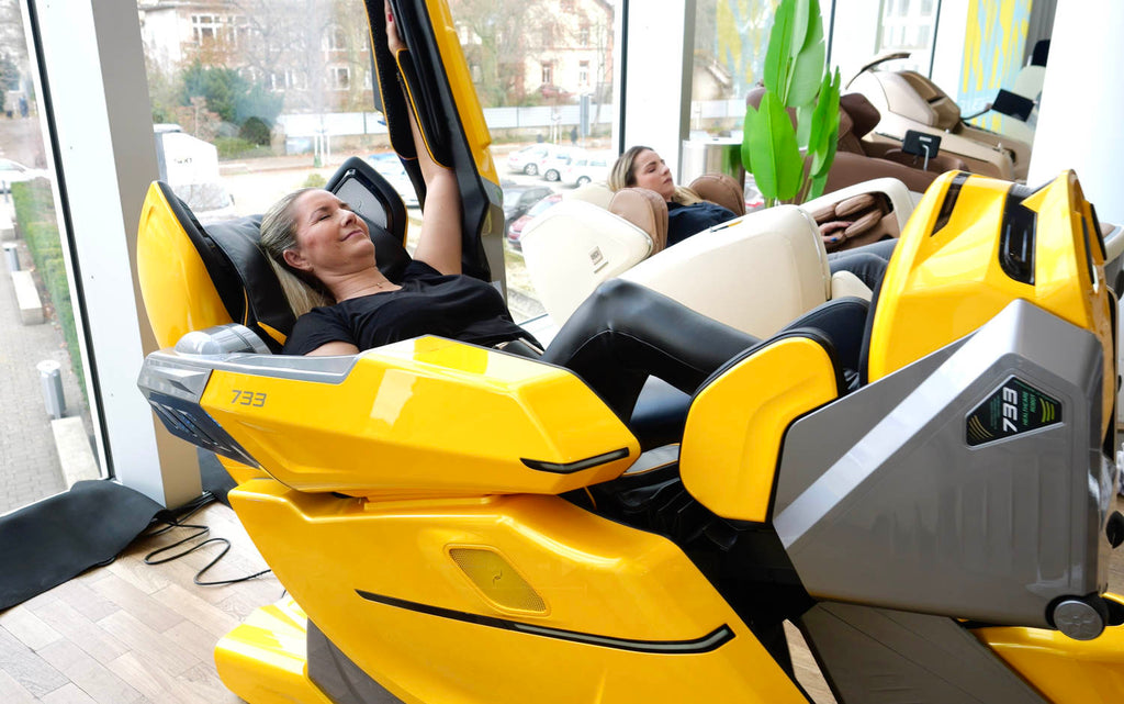 Bodyfriend 733 titluri